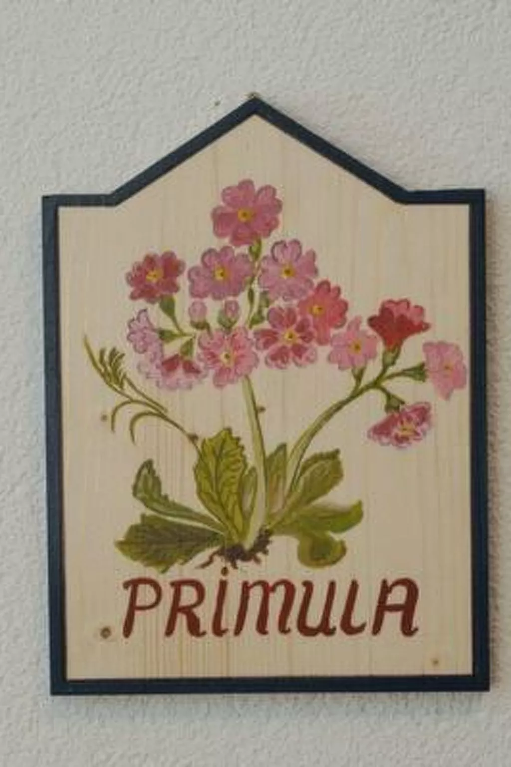 Chasa SERAINA, (Samnaun-Dorf).