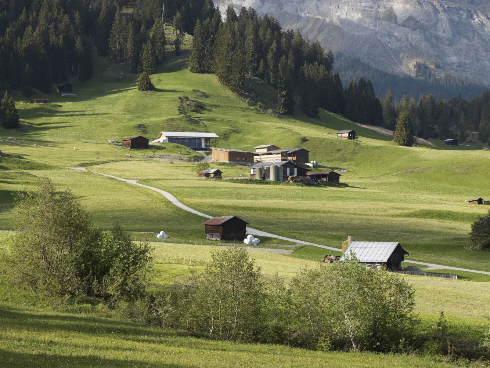 Ferien auf dem Bauernhof, (Laax Murschetg). 3.5 Zimmerwohnung