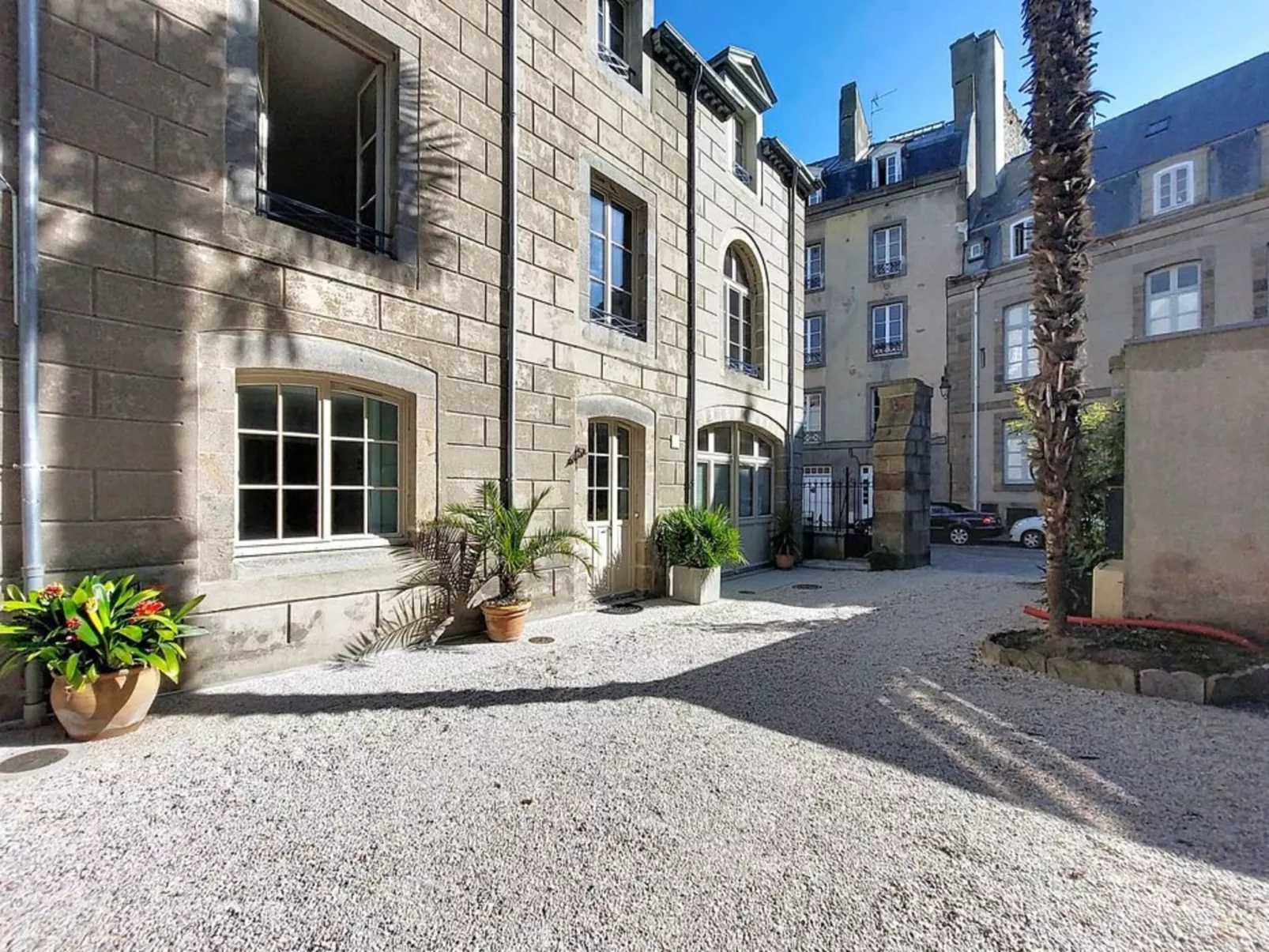 Le palmier