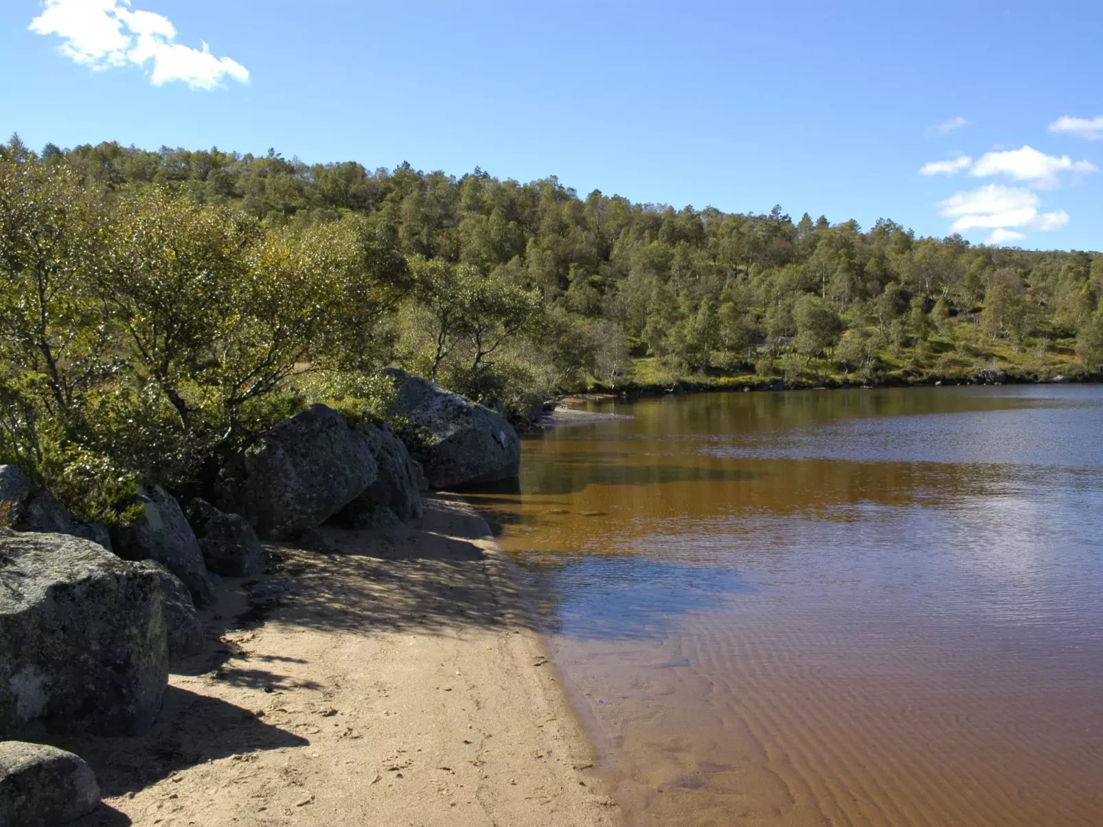Fjellkos-Buiten