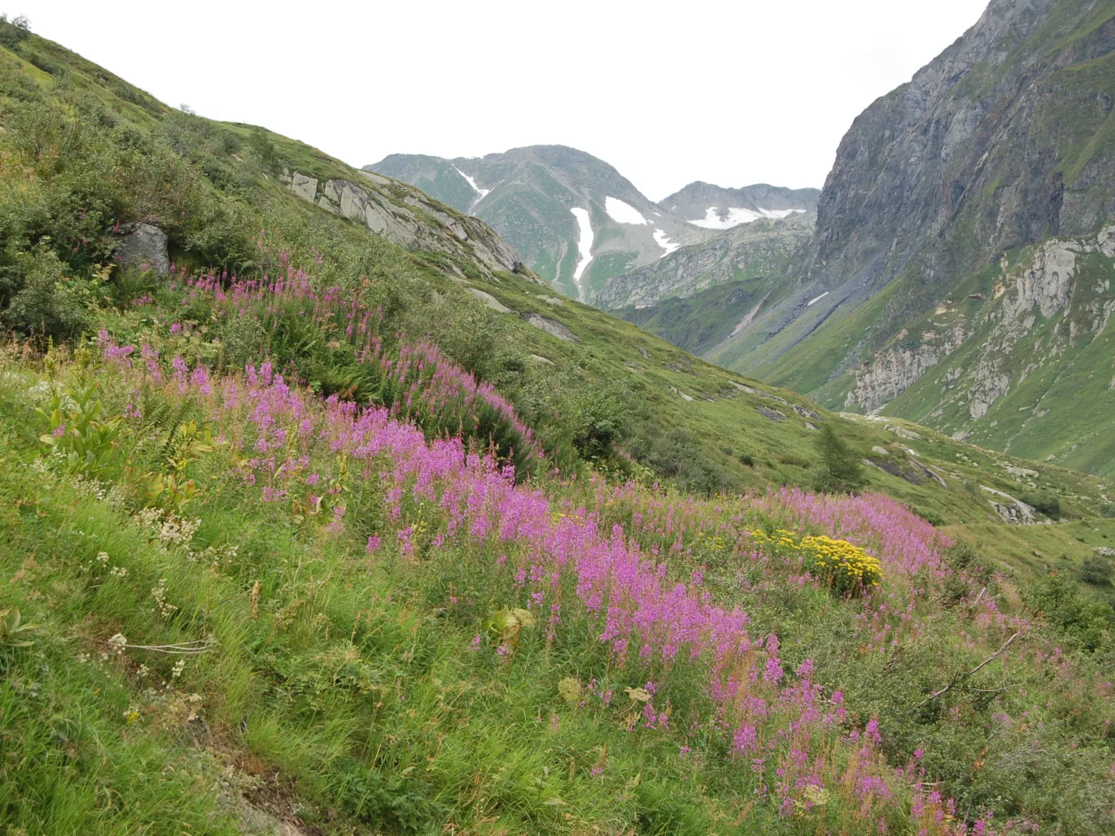 Rustico Stübii - Omgeving