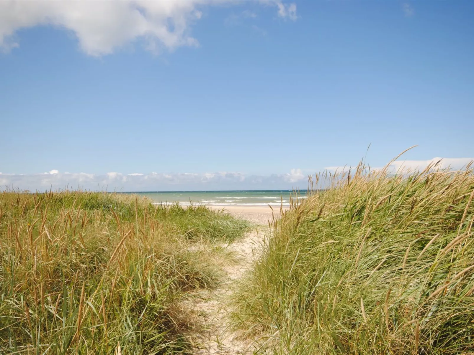 "Fredsine" - 900m from the sea - Buiten