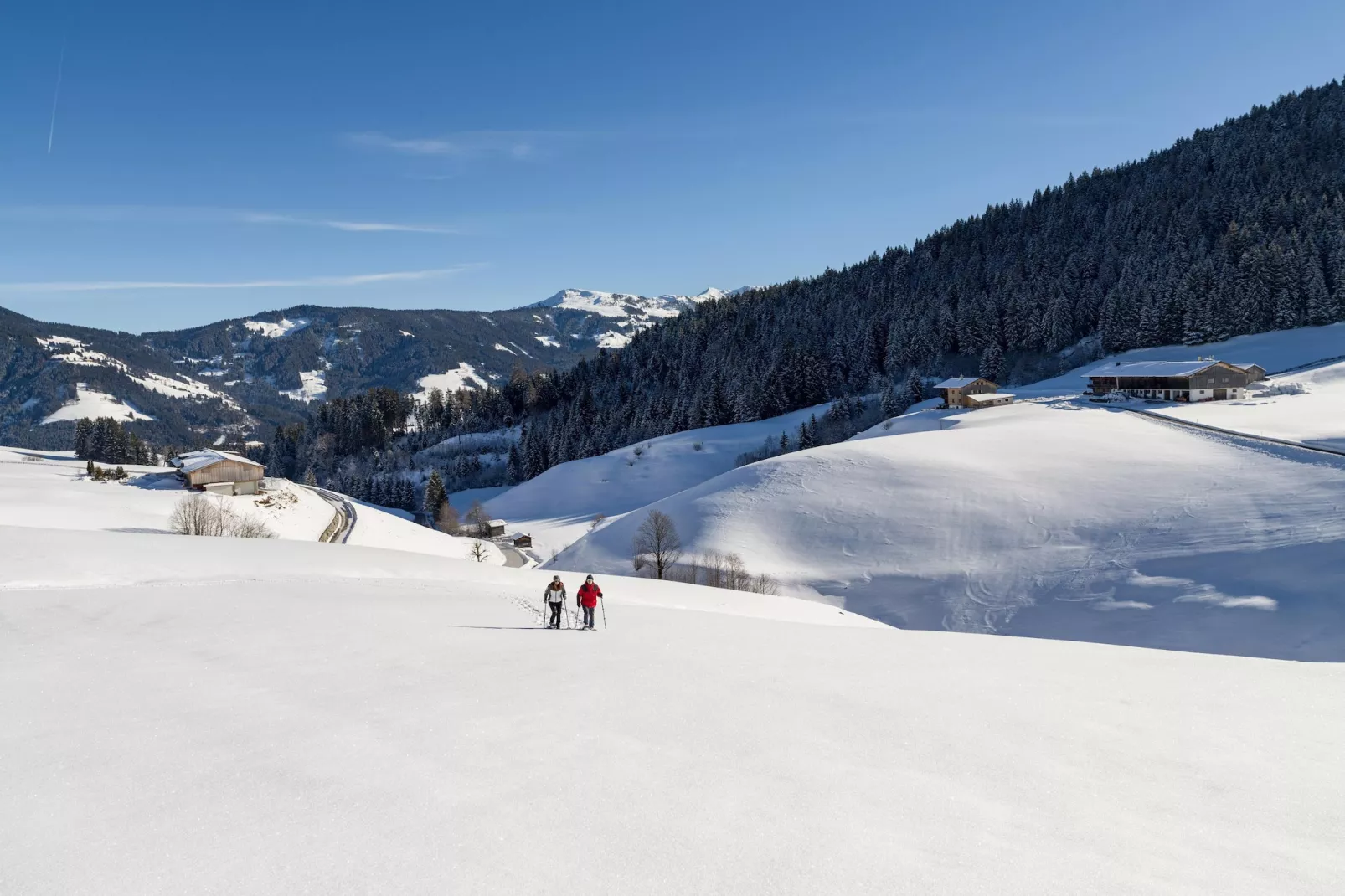 Feriendorf Wildschönau - Schatzberg - Gebied winter 5km