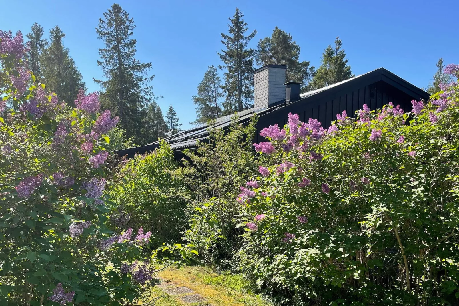4 sterren vakantie huis in GRISSLEHAMN - Buitenlucht