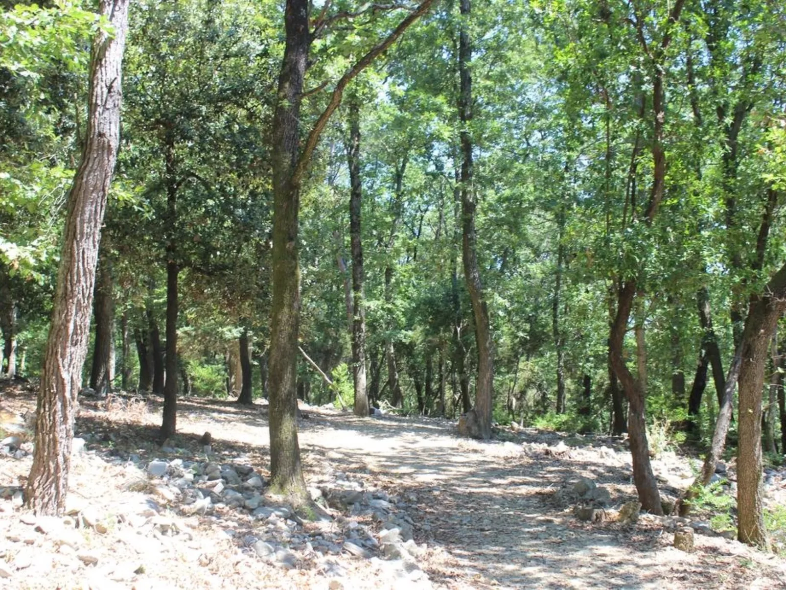 Mago in Ameglia - Buiten