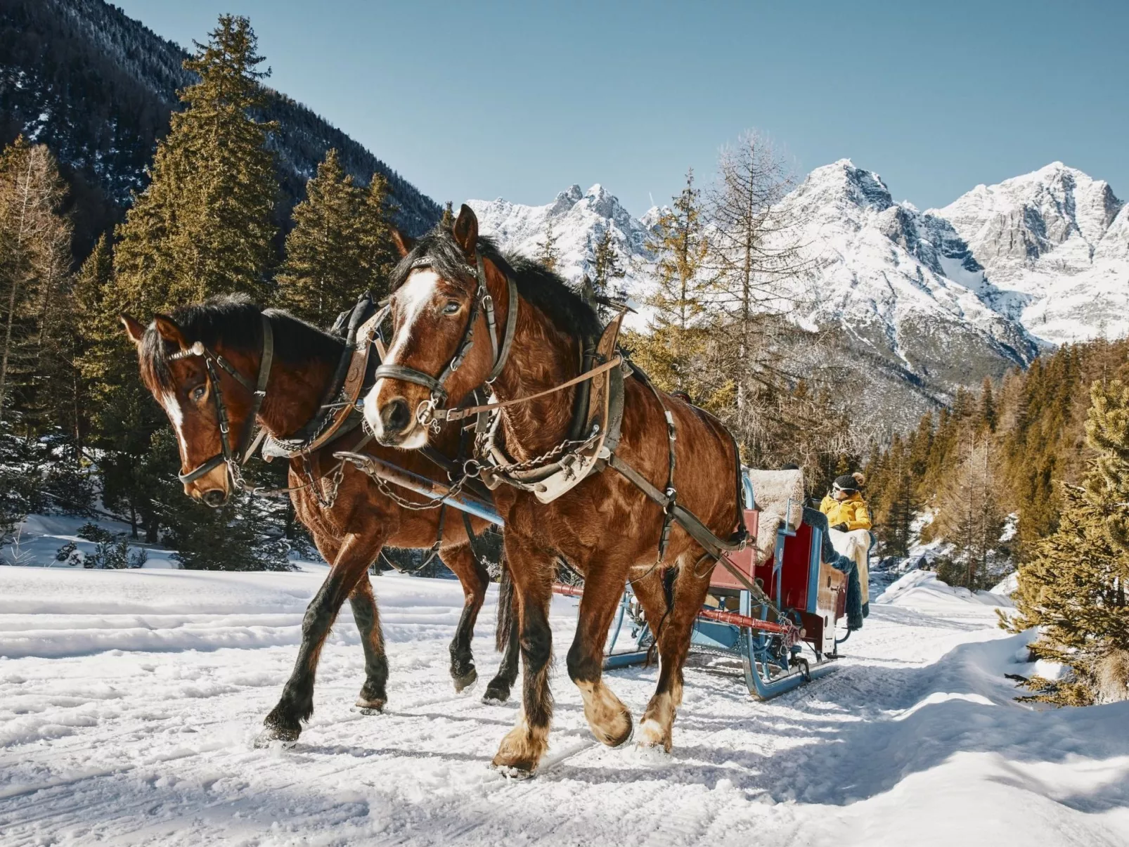 Hütte Ova Spin il Cuvel, (Zernez). - Buiten