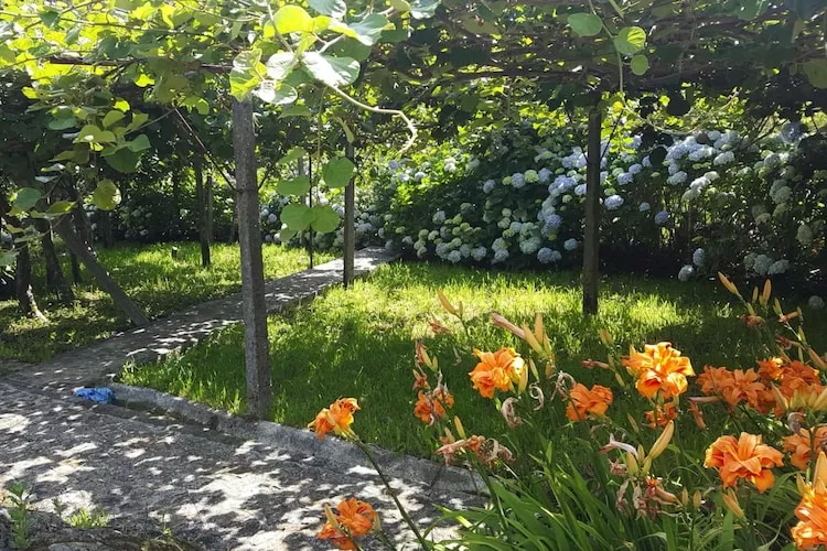 Holiday home Vale de Cambra - Tuinen zomer