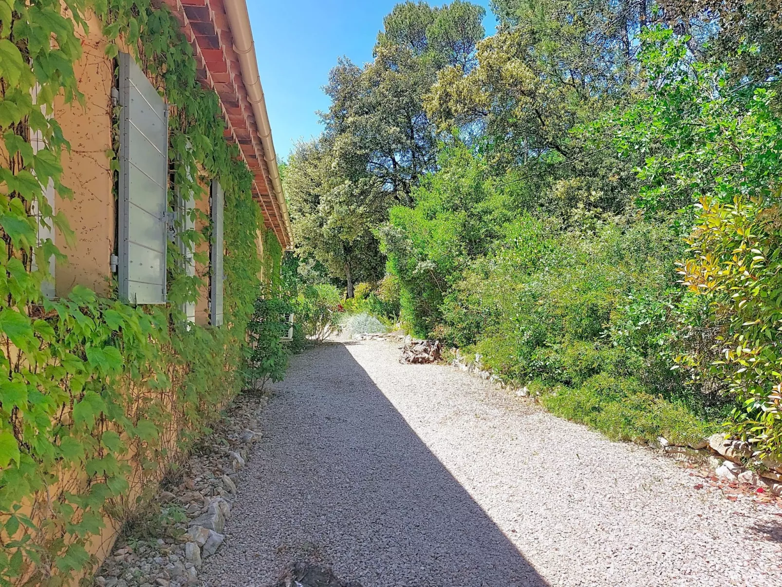 Villa Hestia - Buiten