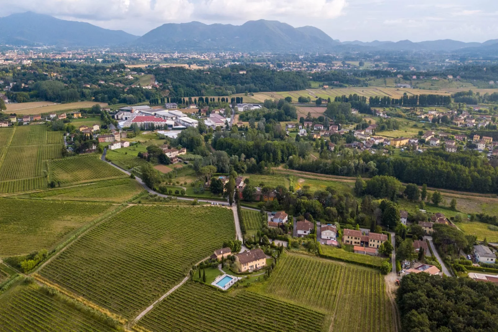 Maria Farmhouse Apartment in Wine Resort in Lucca - Buitenkant zomer