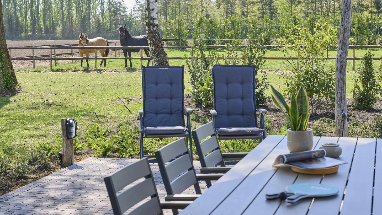Guesthouse het Koetshuis - Tuinen zomer