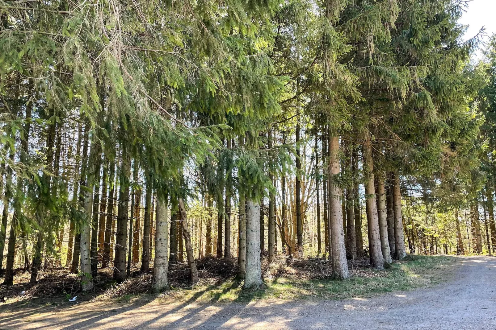 4 Personen vakantie huis in Kvidinge - Buitenlucht