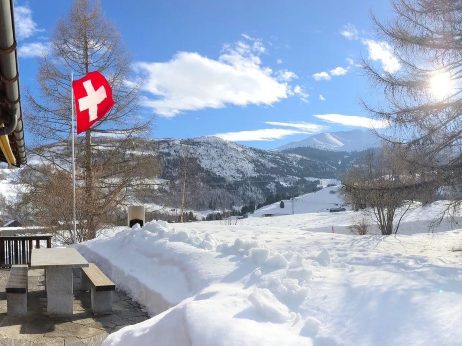 Steiger-Nellen Buretsch, (Segnas/Disentis). - Buiten