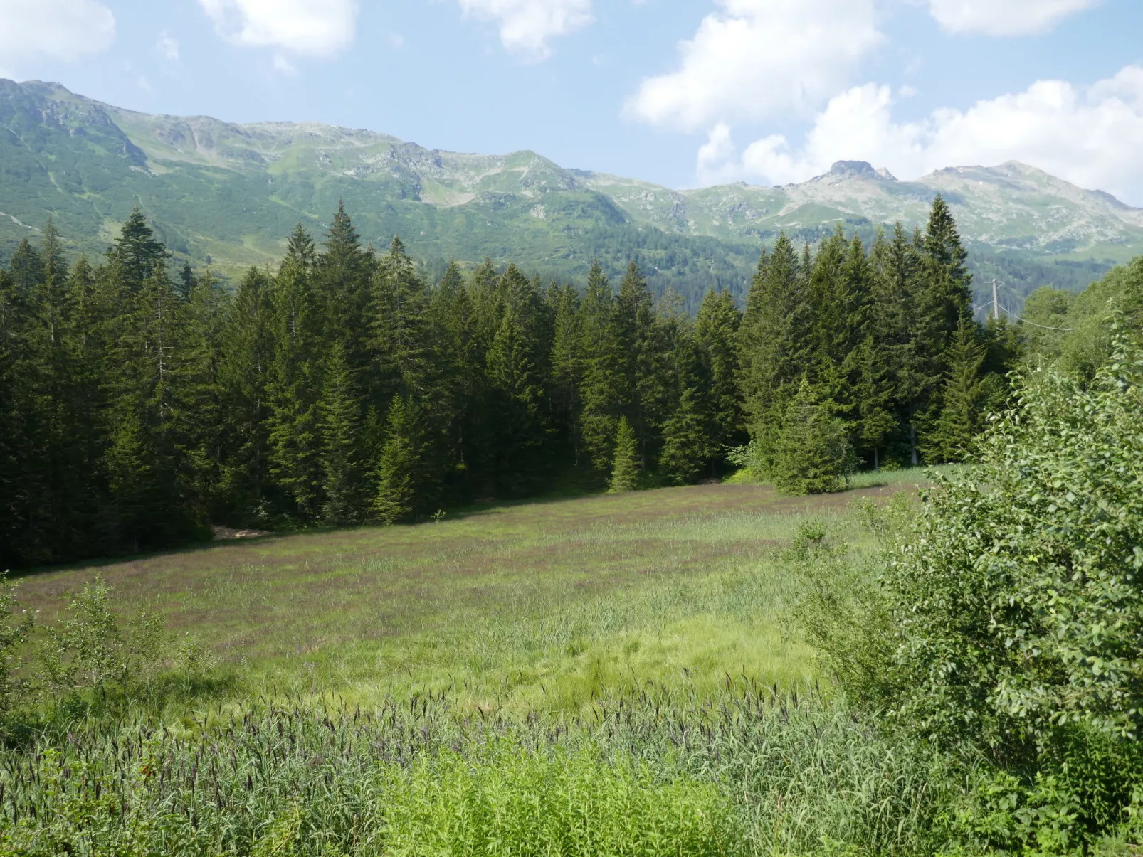 Rustico De Leoni - Omgeving