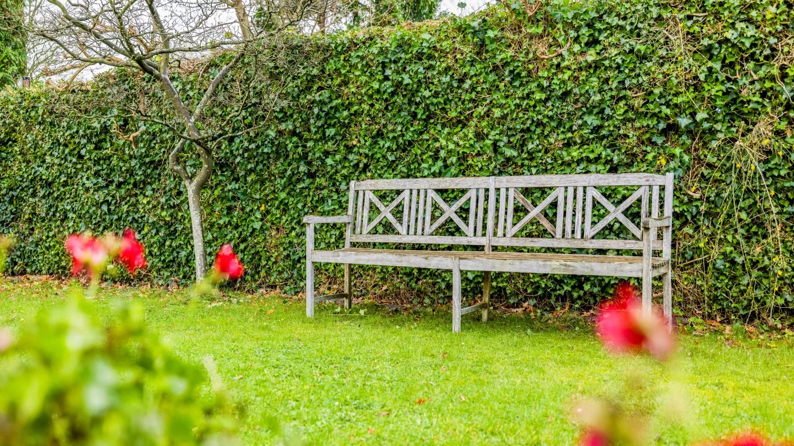 Ananda - Tuin winter