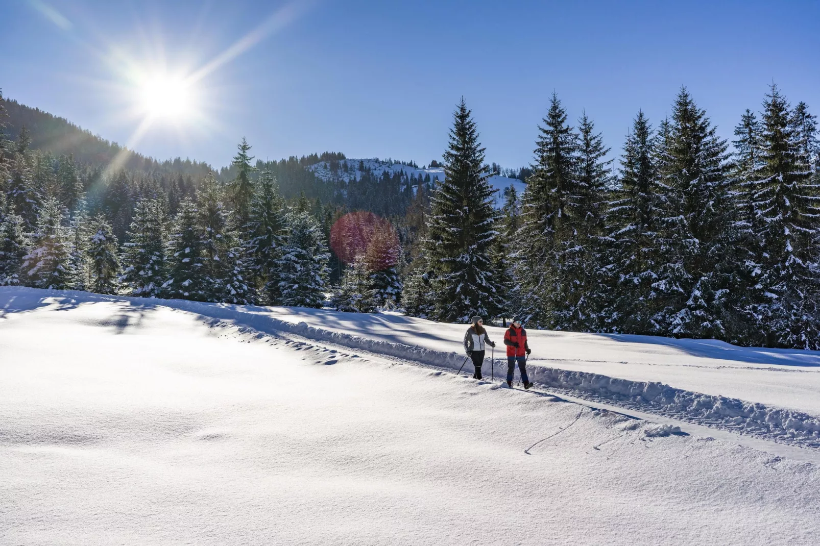 Feriendorf Wildschönau - Zauberwinkl - Gebied winter 5km