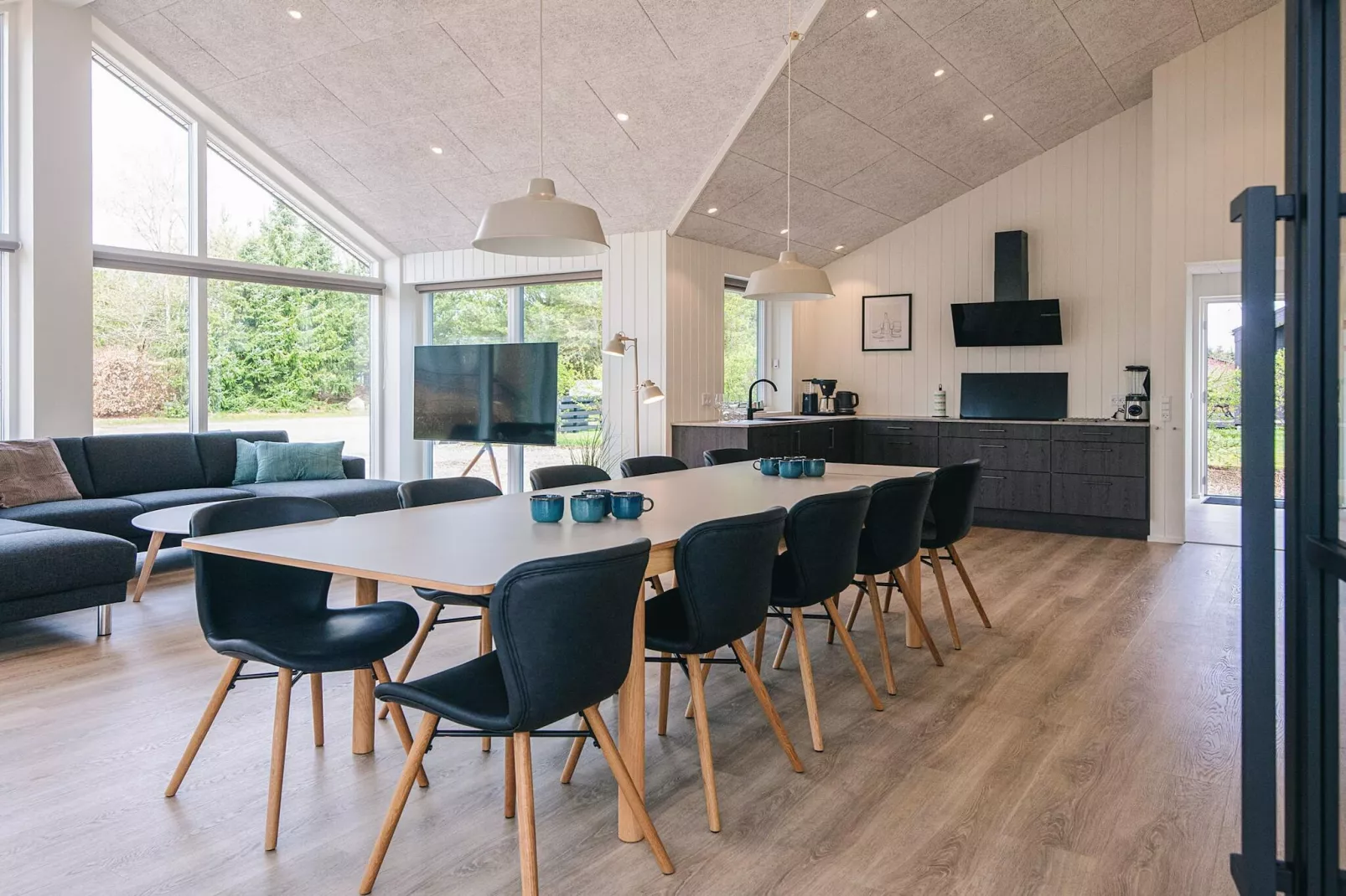5 sterren vakantie huis in Ansager