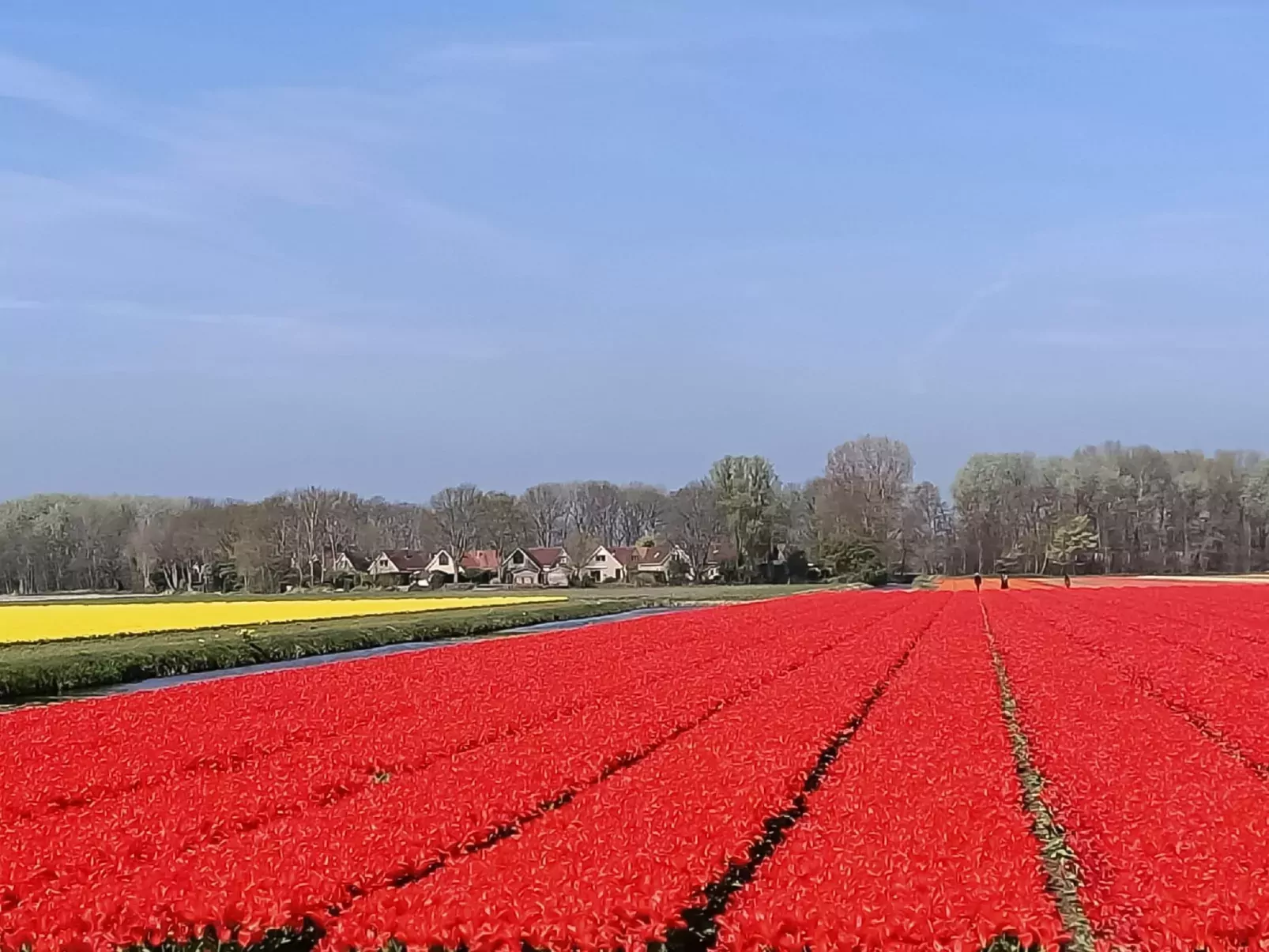 Pieper Luxe-Buiten