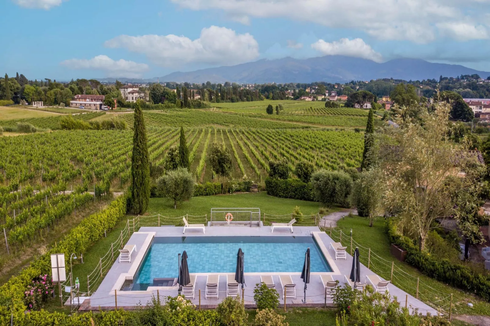 Elisa Farmhouse Apartment in Wine Resort - Zwembad