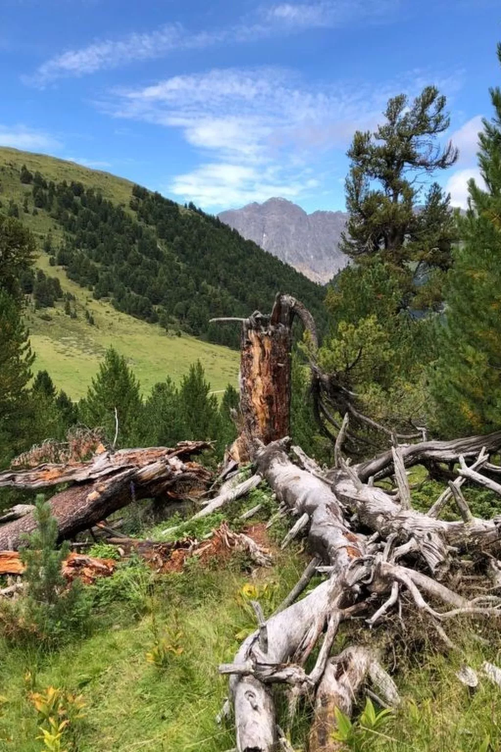Chasa Refugi, (Müstair). - Buiten