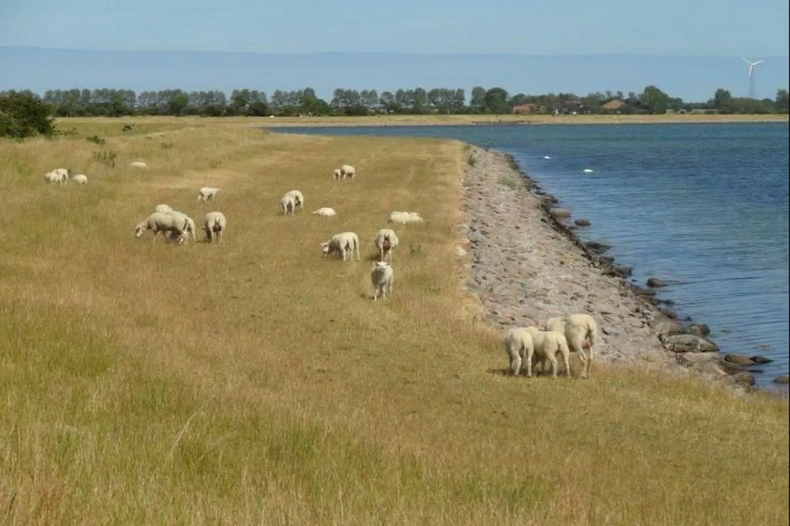 Ferienwohnung meerHAFEN - Gebieden zomer 5km