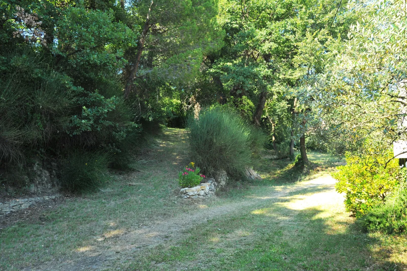 Ferienhaus in Puyméras / Villa Julia - Gebieden zomer 1km