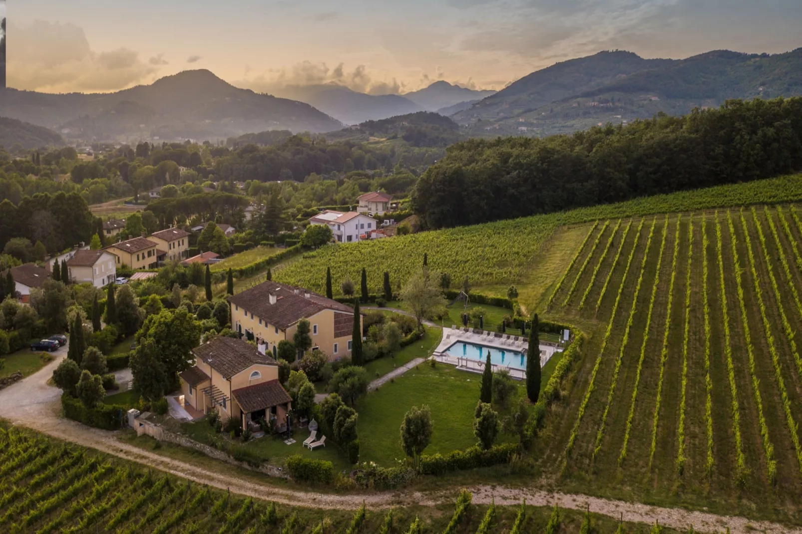 Maria Farmhouse Apartment in Wine Resort in Lucca - Buitenkant zomer