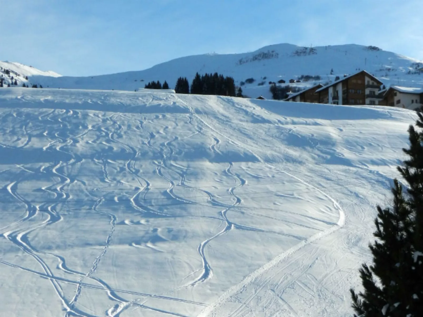Schweizer, Obersaxen-Affeier, (Obersaxen). - Buiten