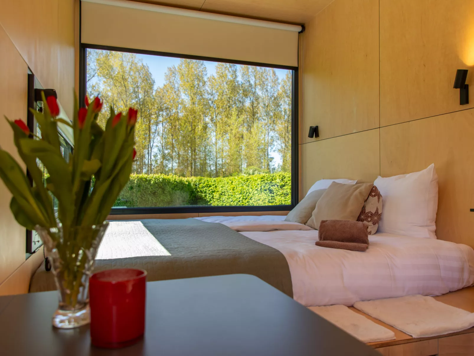 Tiny Cabin Sunshine no 21 - Binnen