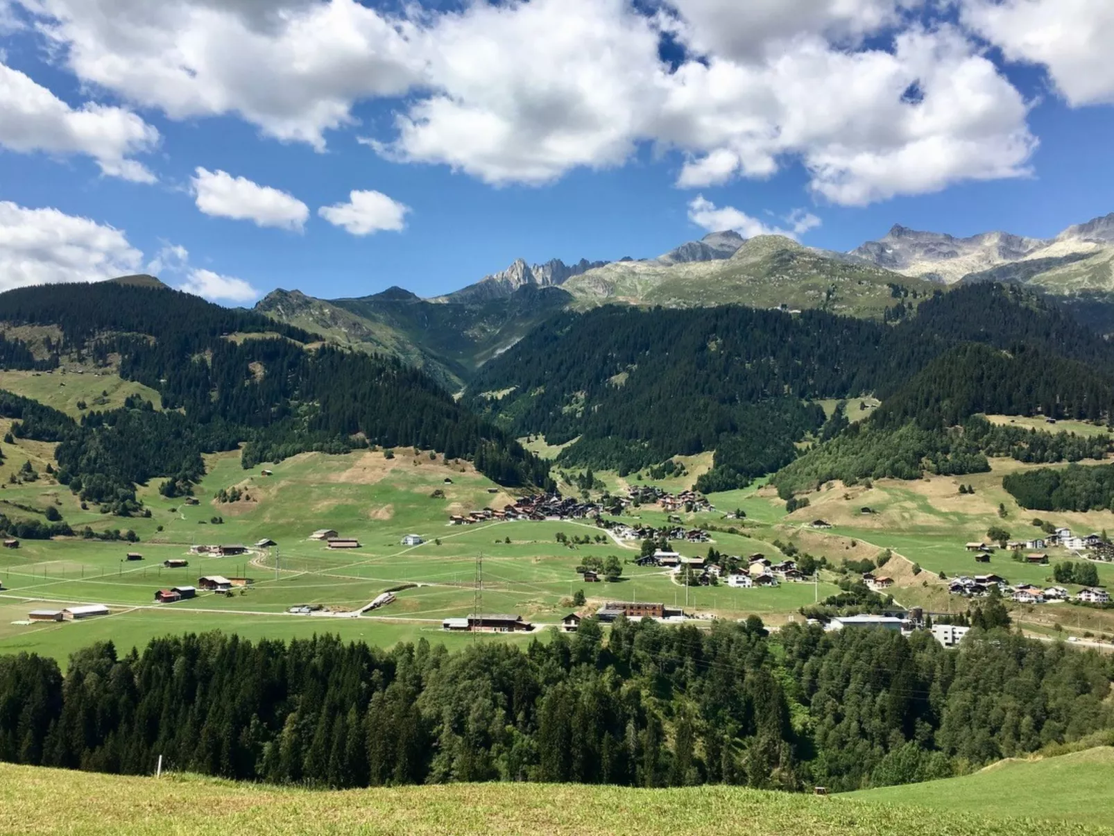 Steiger-Nellen Buretsch, (Segnas/Disentis). - Buiten