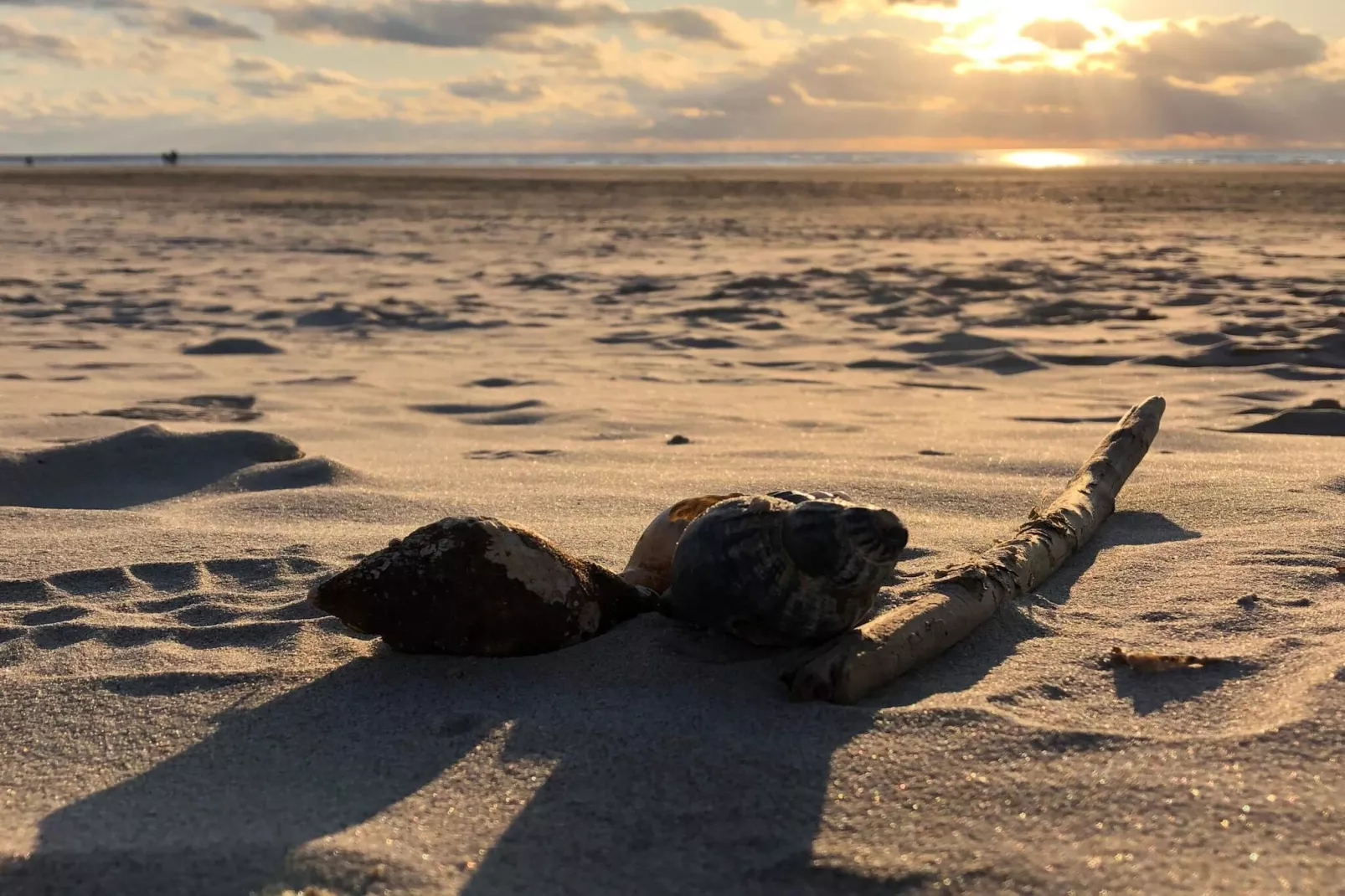 4 persoons vakantie huis in Blåvand - Niet-getagd