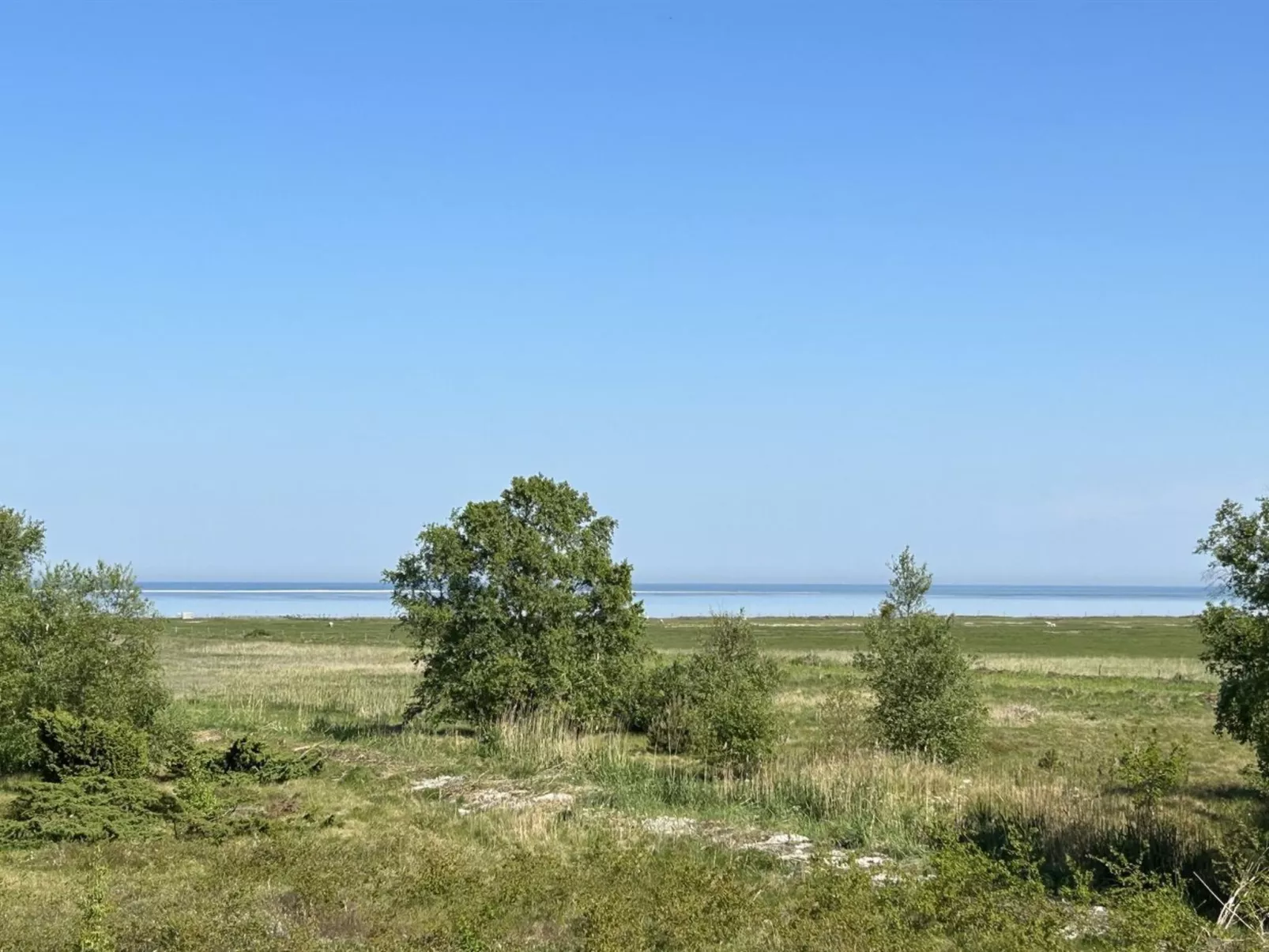 "Thorbiorn" -  from the sea - Buiten