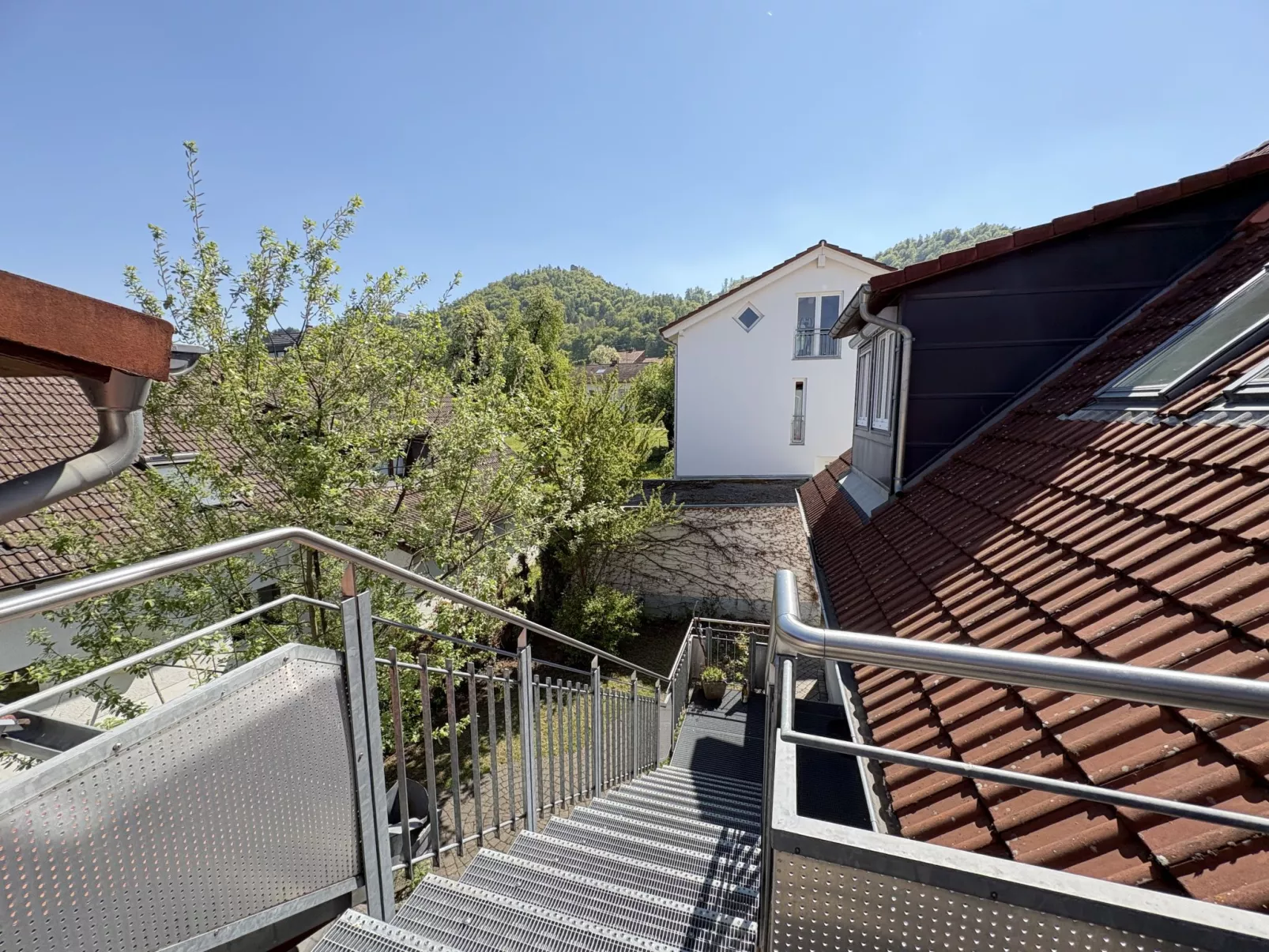 Sonnige Aussichten - Obstbau Koch - Buiten