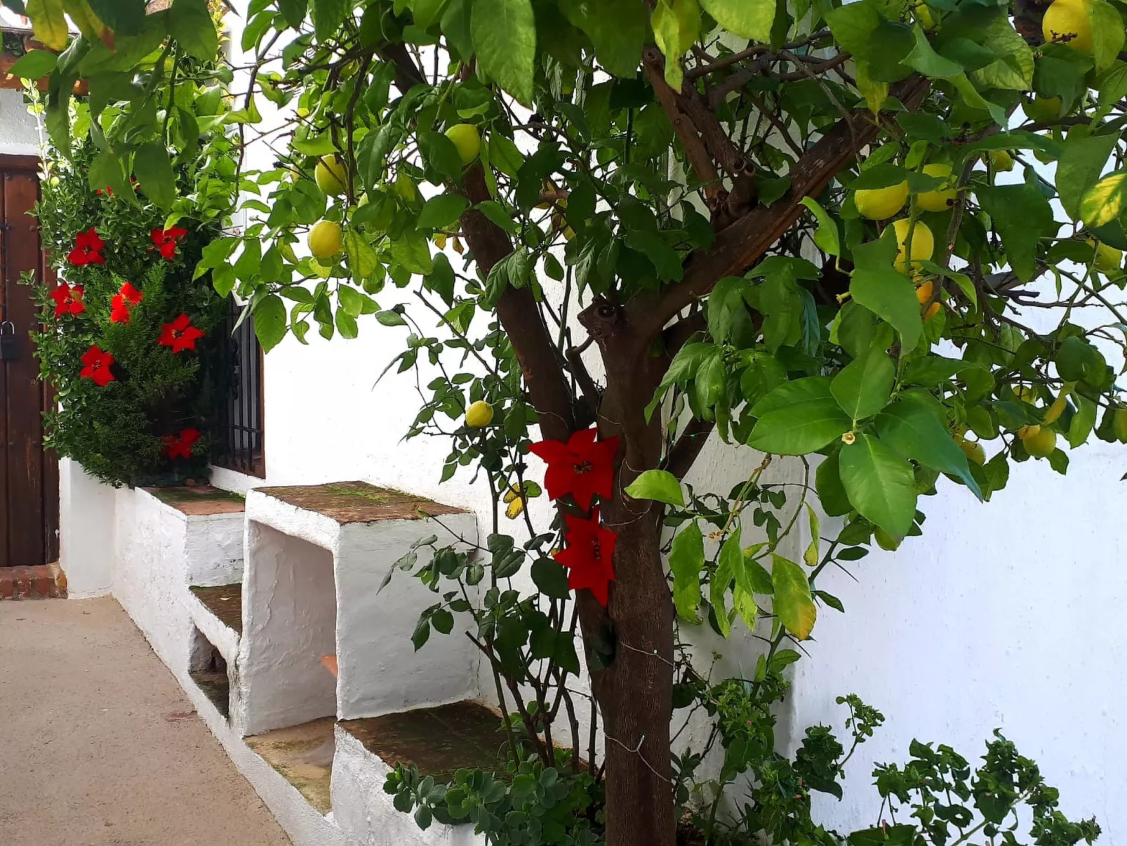 Casa la Solana - Buiten