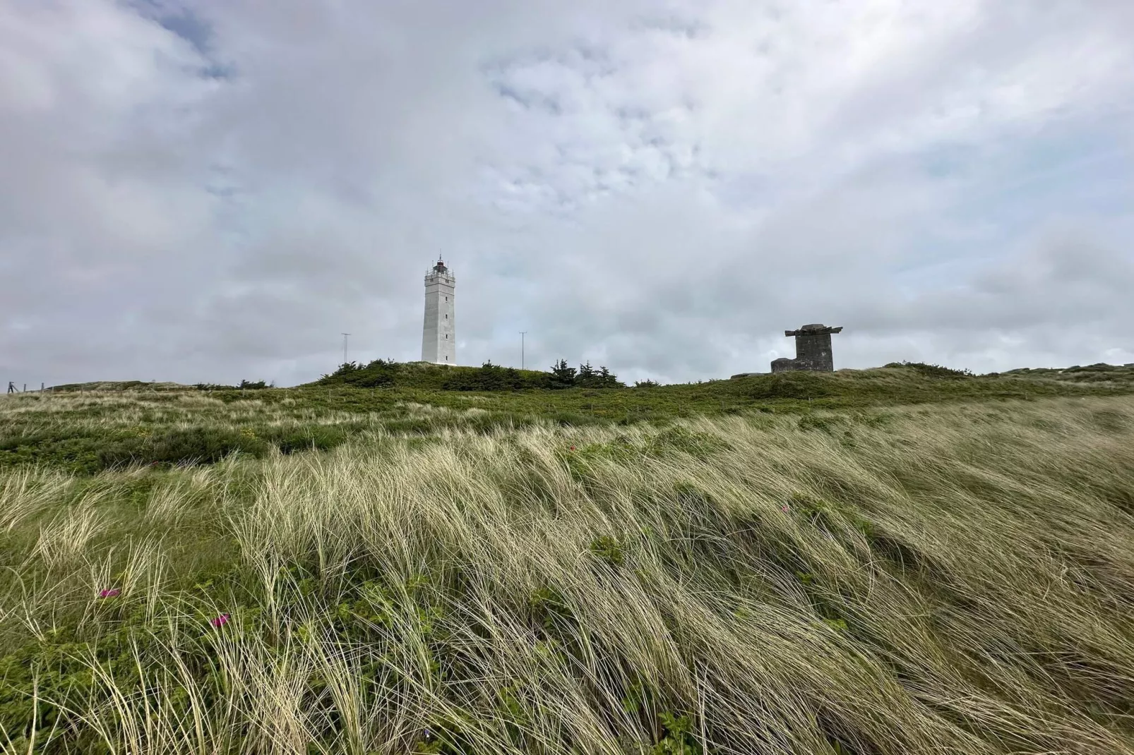 4 persoons vakantie huis in Blåvand - Niet-getagd