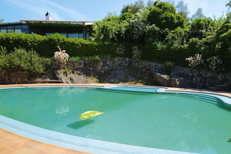 Holiday home Vale de Cambra - Zwembad