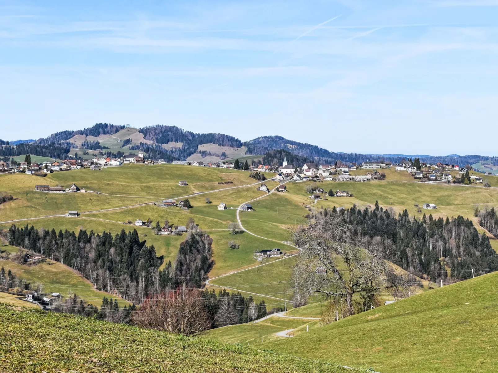 Ferienhof-Barenegg - Buiten