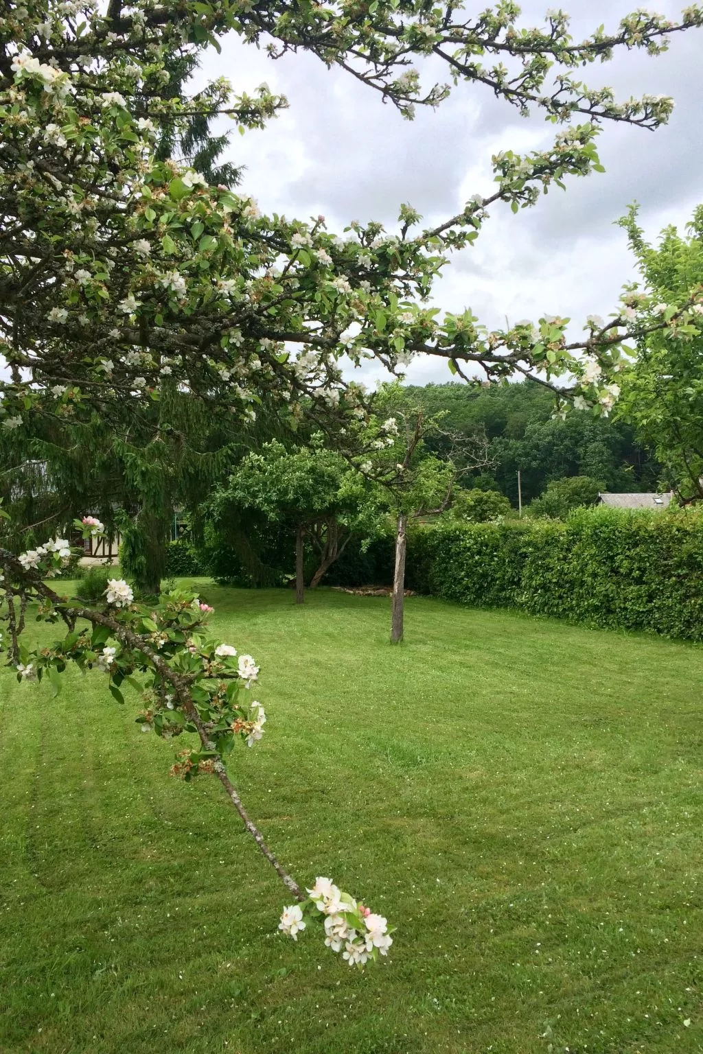 Normannisches Haus mit großem Garten in der Nähe von Paris - Buiten