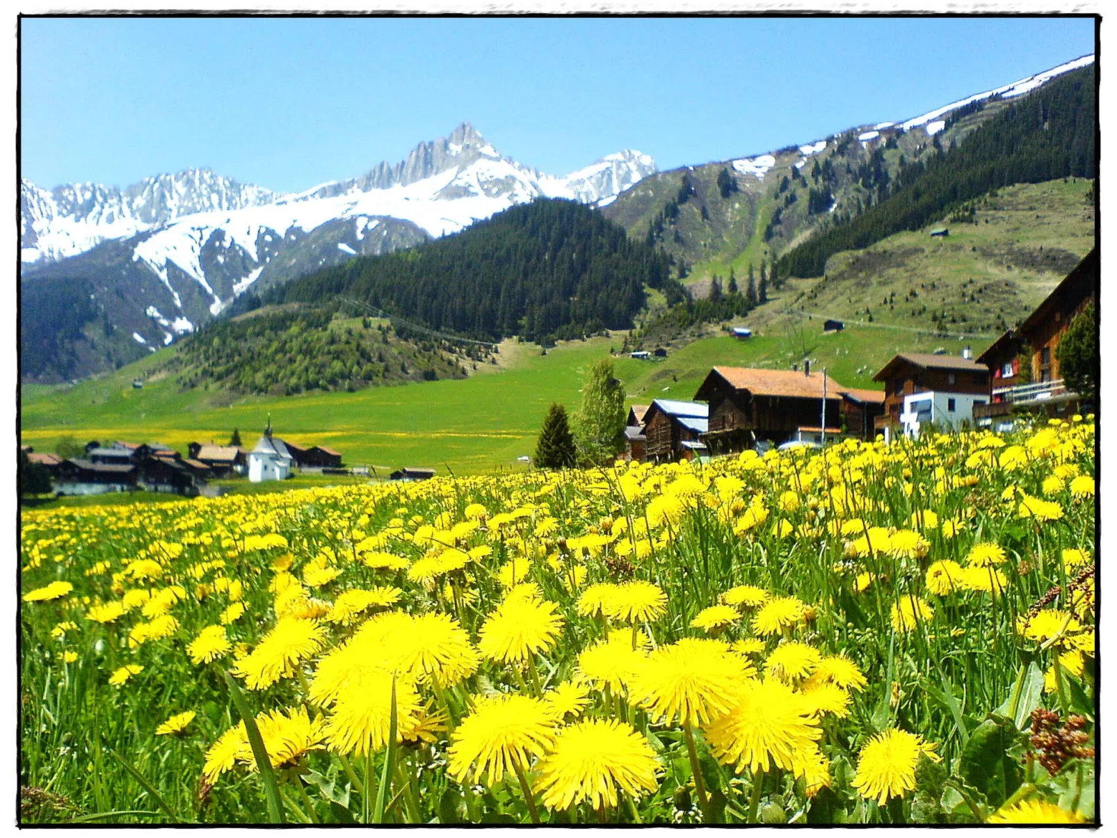 Chalet Dargun Bünter, (Camischolas/Sedrun). - Buiten