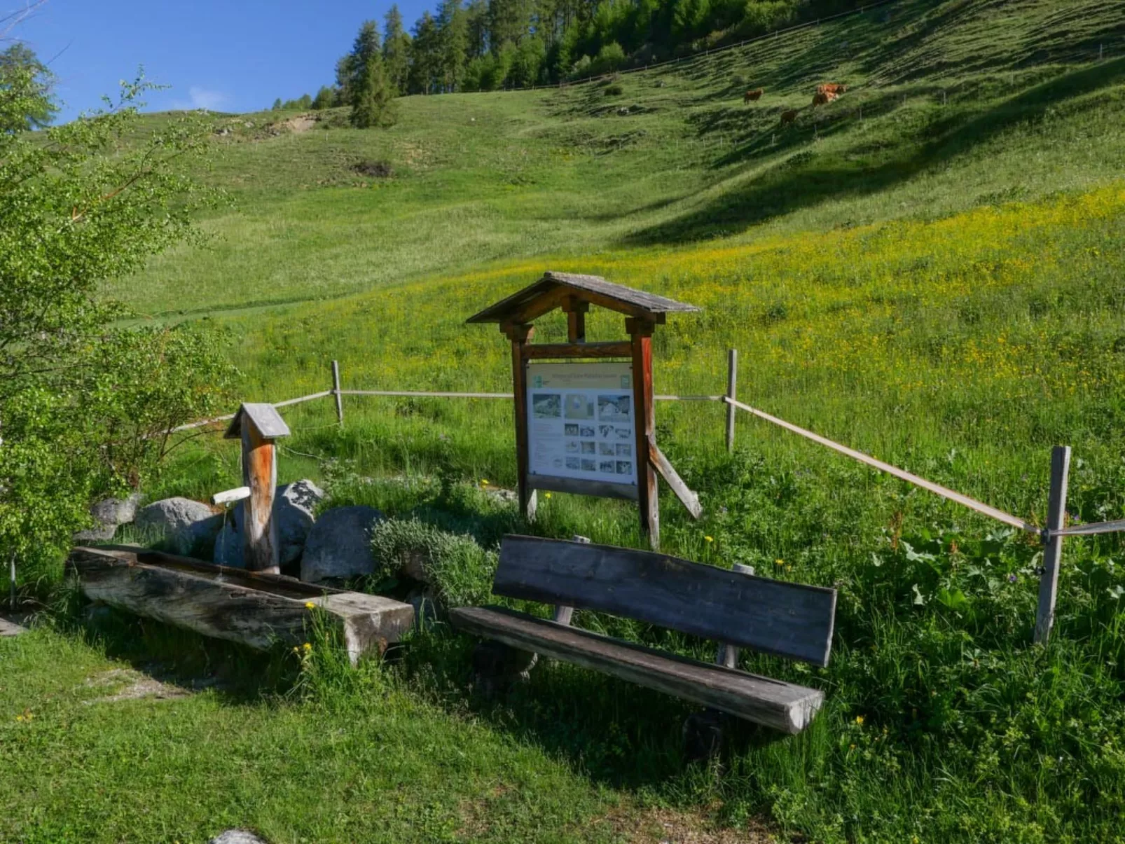 Bergblick-Craistas, (Sta. Maria - Santa Maria Val Müstair). - Buiten