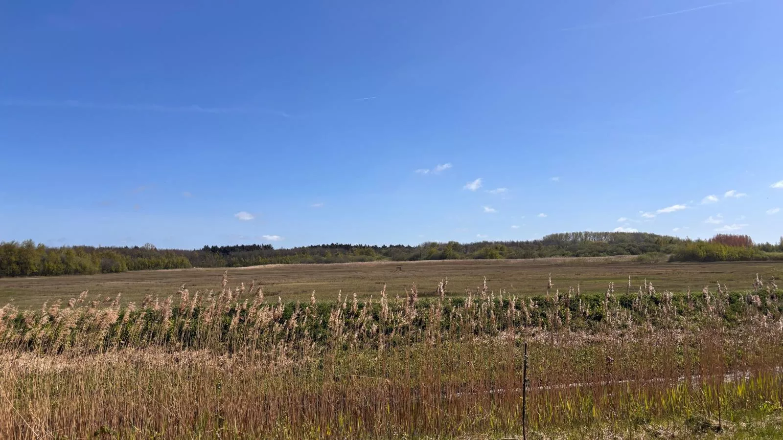 Ananda - Gebieden zomer 1km