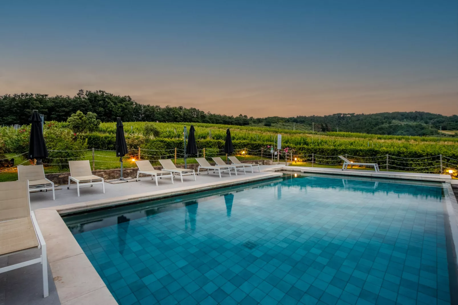 Maria Farmhouse Apartment in Wine Resort in Lucca - Zwembad