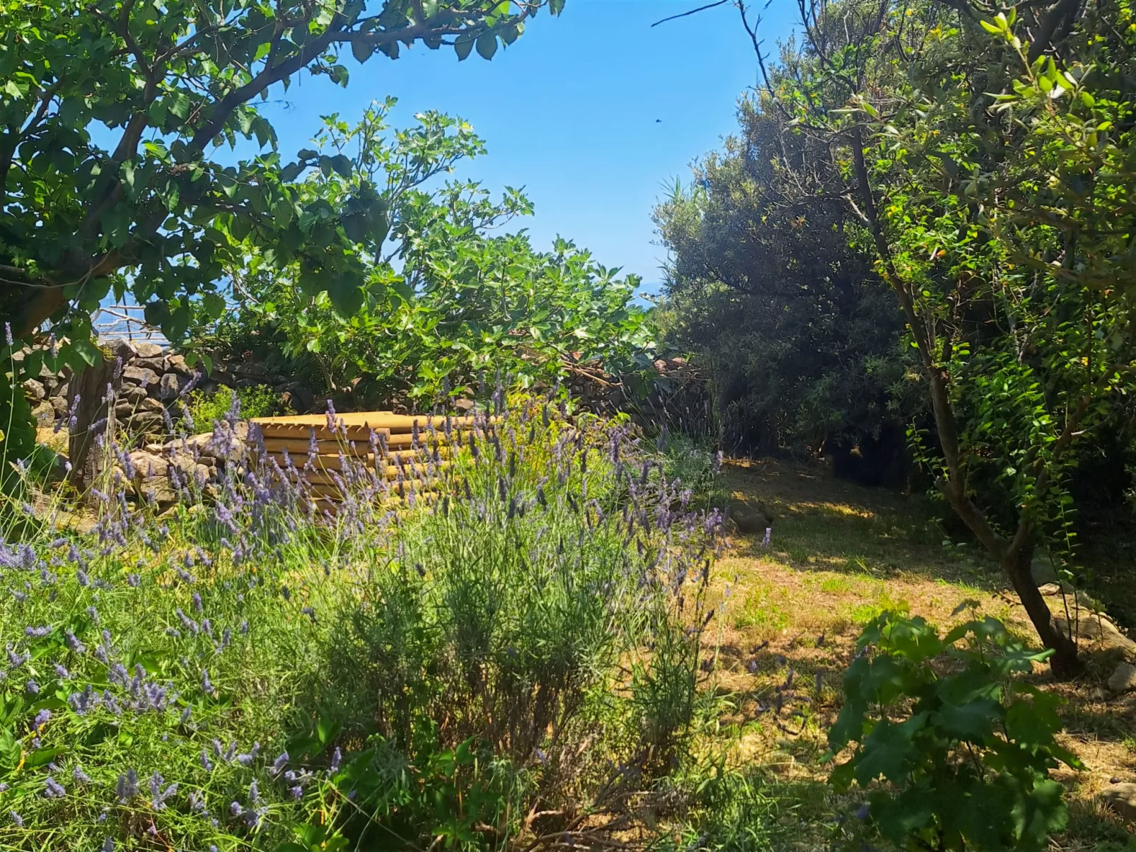 Hidden Hill - Buiten