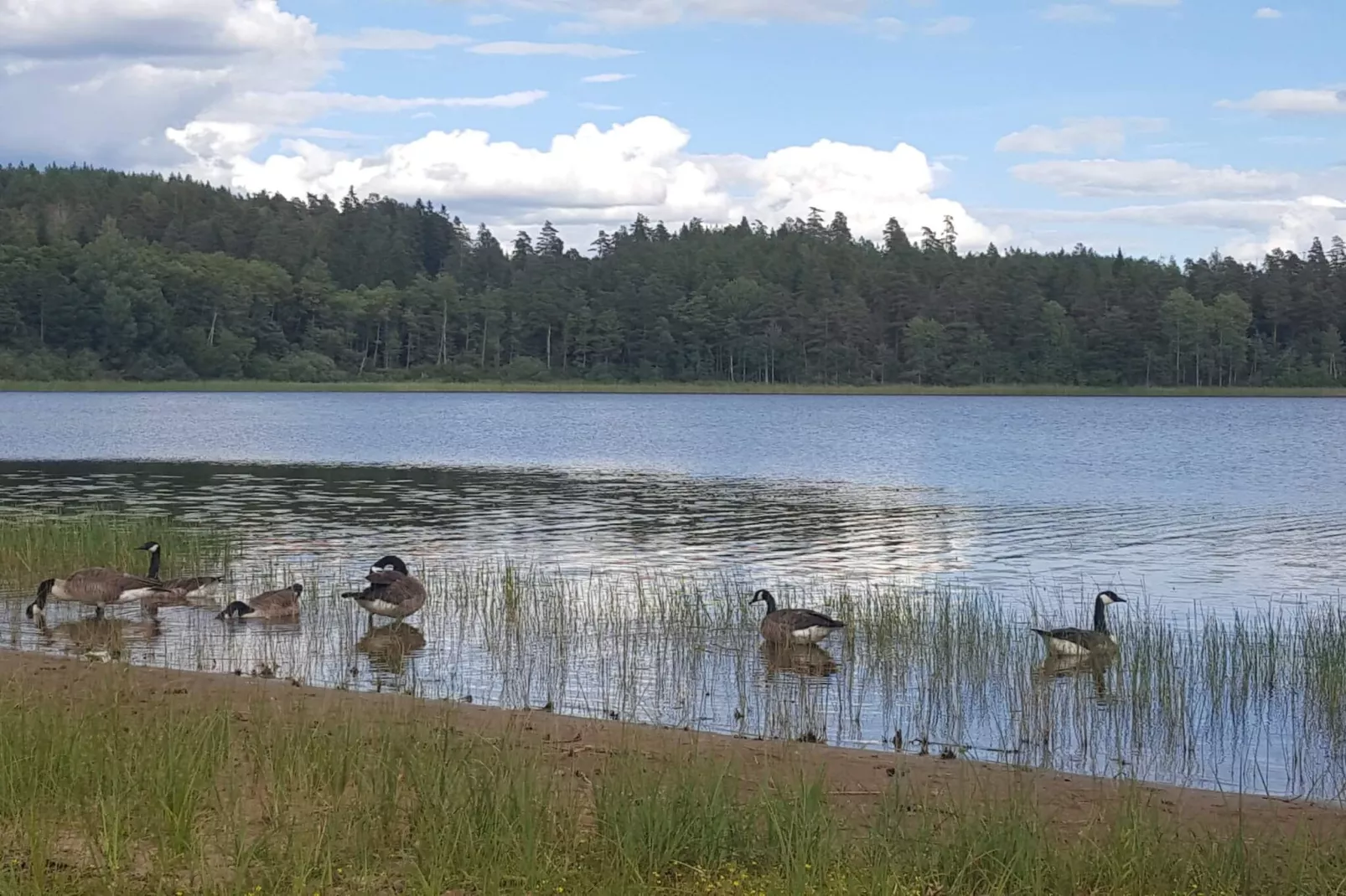 8 persoons vakantie huis in Mörlunda-By Traum - Waterzicht