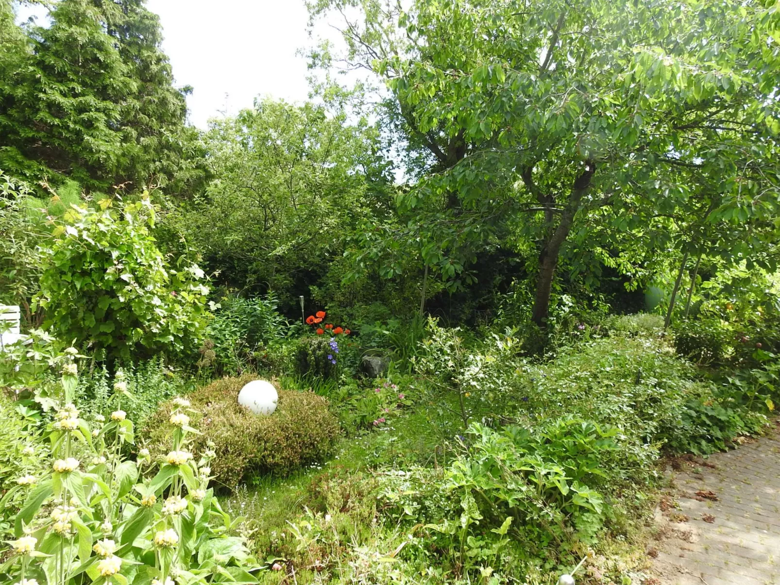 Ostseestern - Buiten