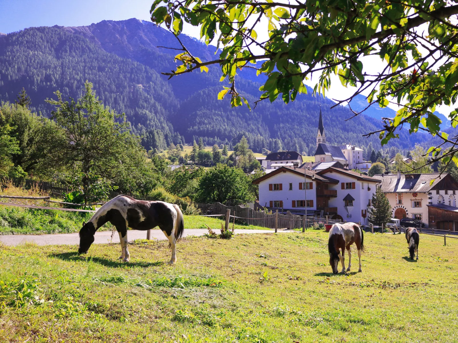 Ferienwohnungen Paclerahof, (Sta. Maria - Santa Maria Val Müstair). - Buiten