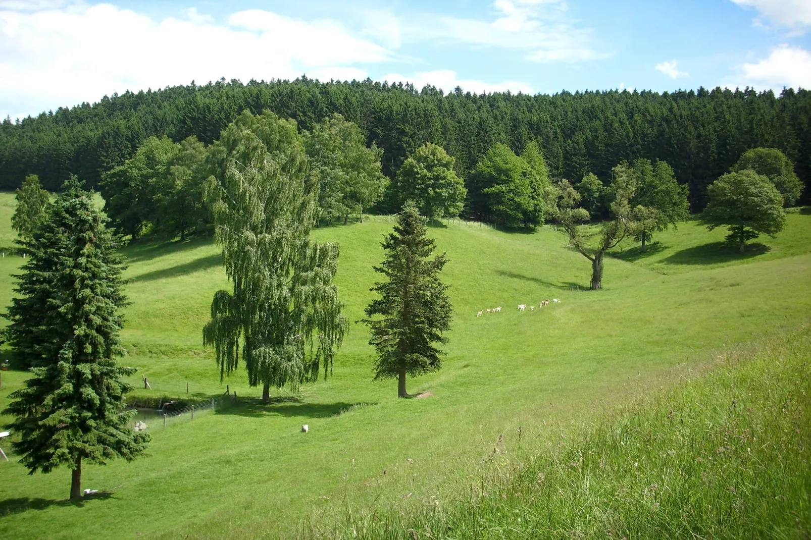 Am Damwildgehege - Gebieden zomer 5km