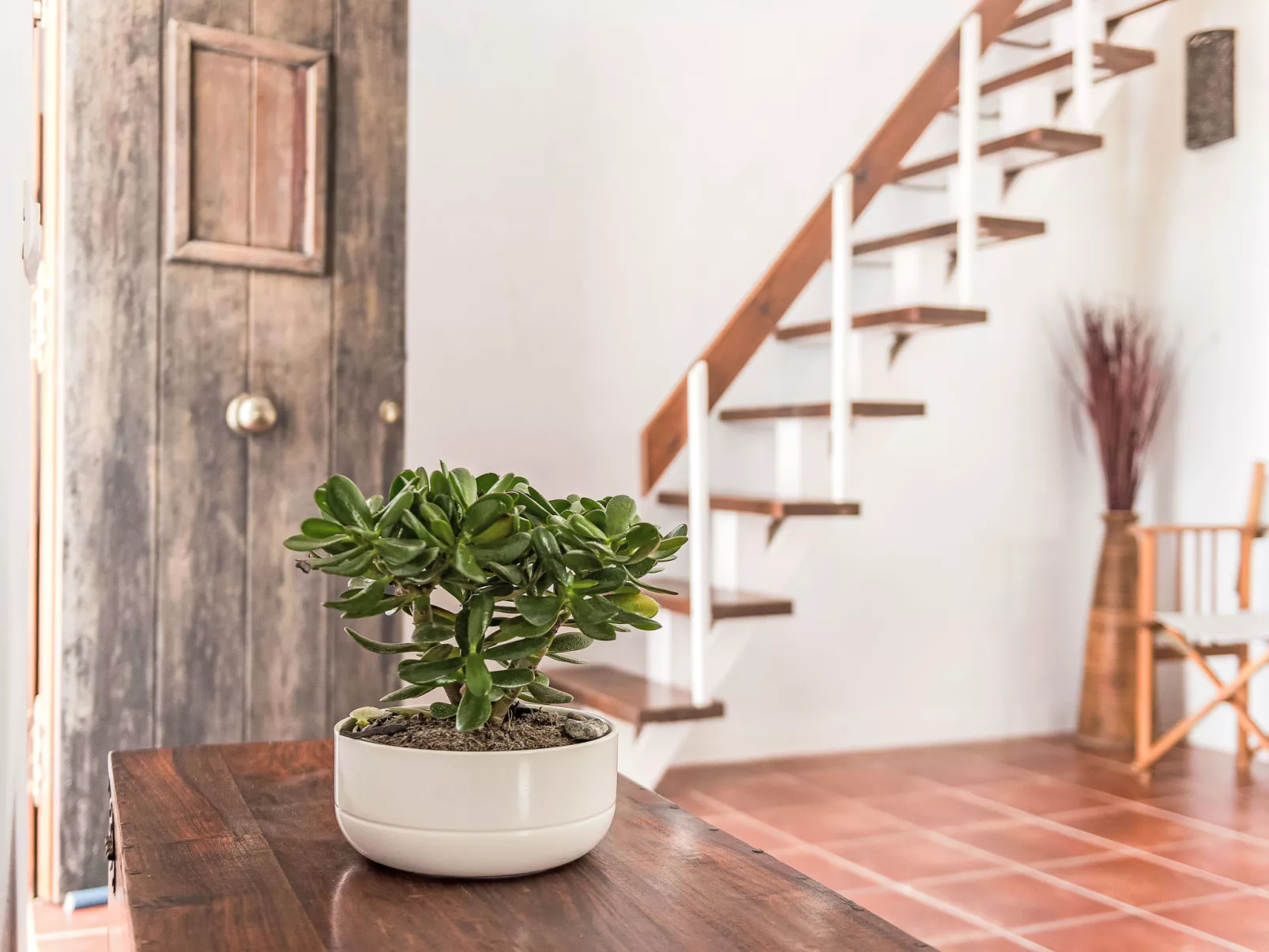 Wohnung mit großer Dachterrasse in Vejer - Binnen