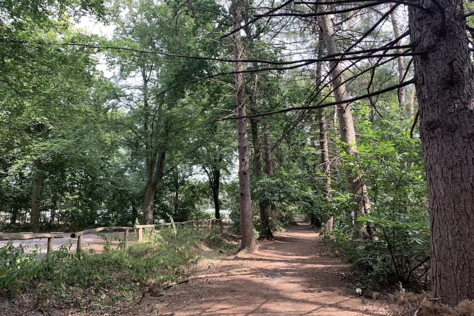 Caravan Bosrand Lembeke 3 - Gebieden zomer 1km