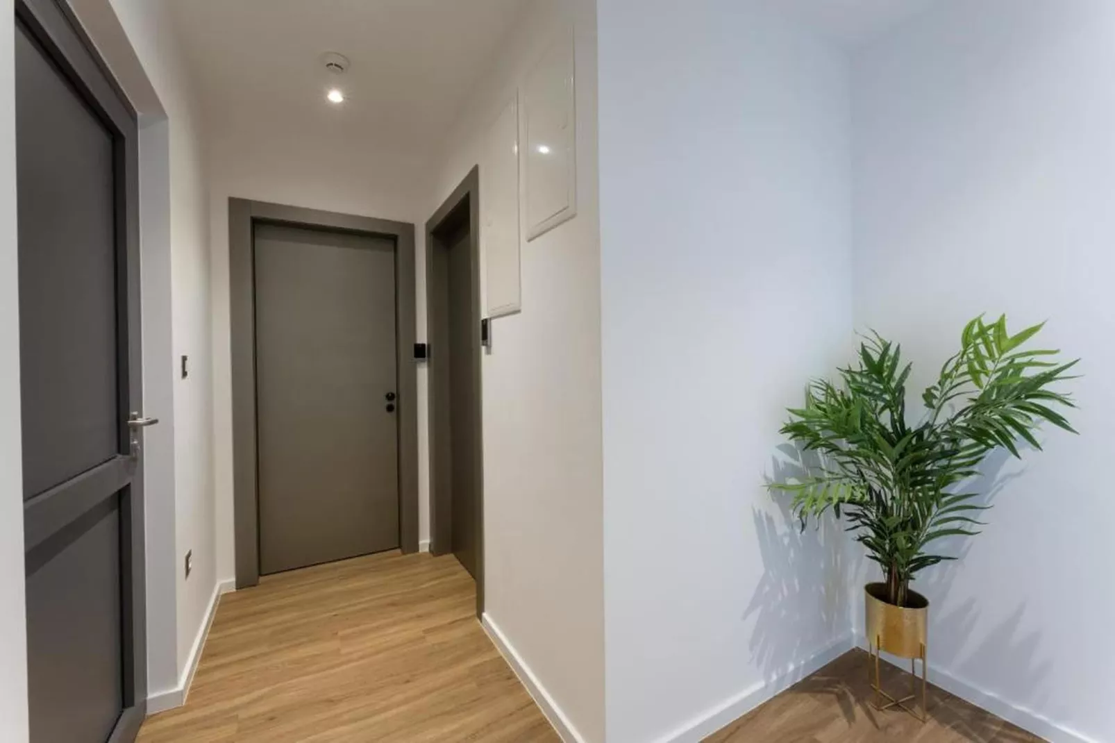PICTAS Residence - Superior Double or Twin Room with Terrace - Hal-ontvangst