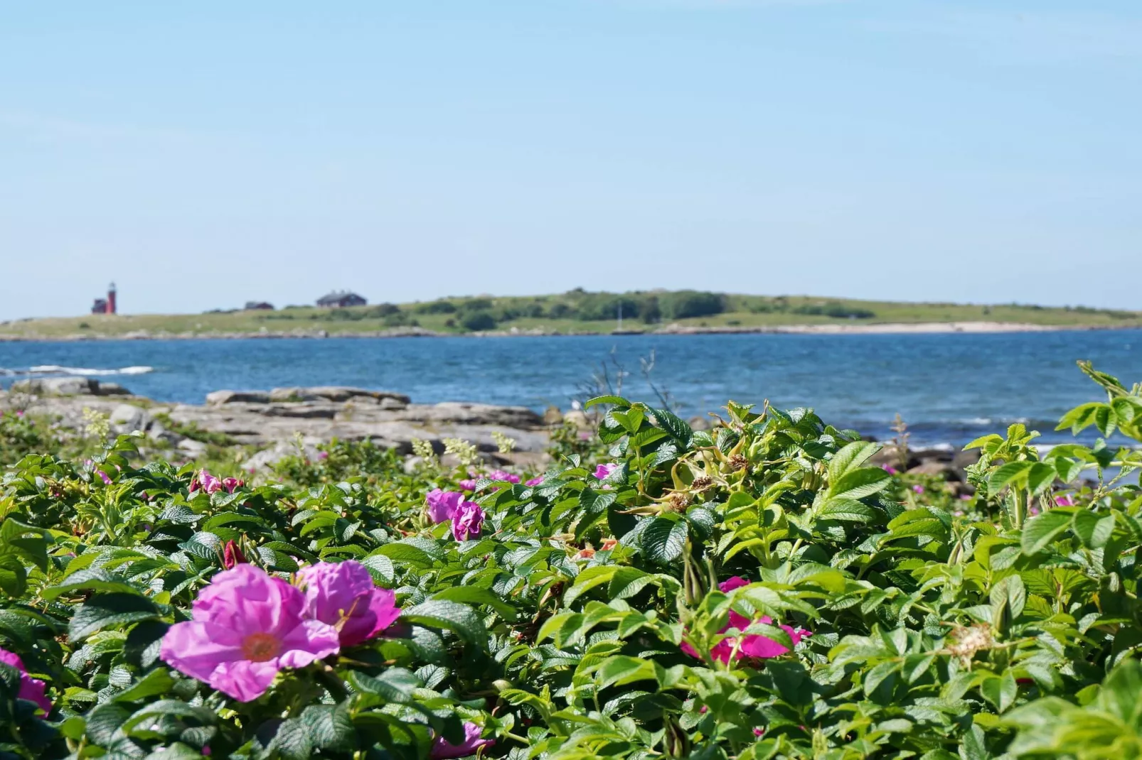 4 sterren vakantie huis in Halmstad - Niet-getagd